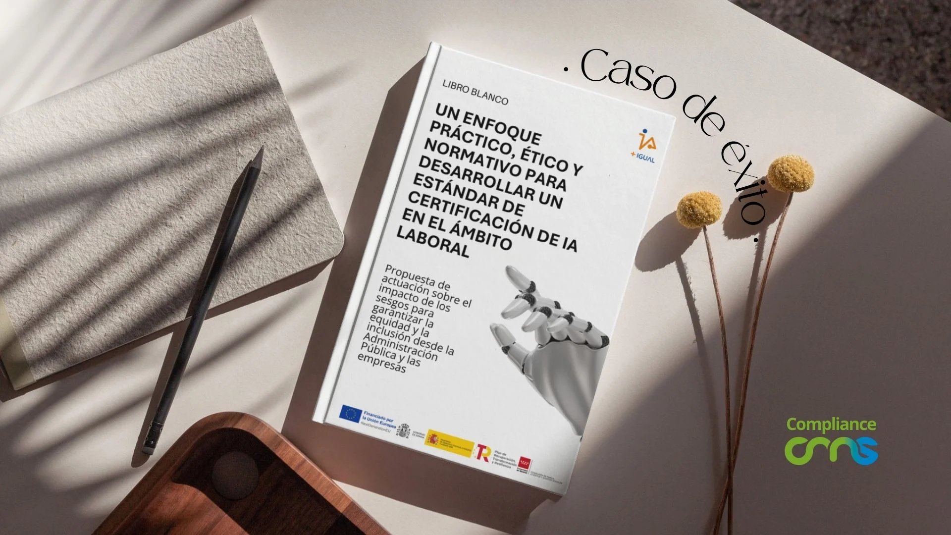 Libro Blanco IA+Igual